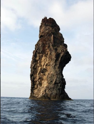  Arquitecturas naturales 